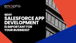 Why Salesforce App Development Is Important For Your Business?