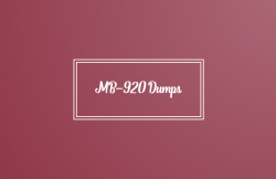MB-920 Exam Dumps