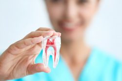 Root Canal Therapy in Cypress, TX