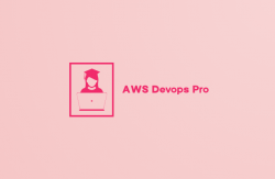 AWS Devops Pro for required alternatives.