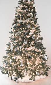 Gold Coast Christmas trees | Real Christmas Trees! Gold Coast Christmas Tree