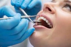 Best Orthodontist Specialists in Miami, Fl | Miami Orthodontic Specialists |Miami Shores Modern  ...