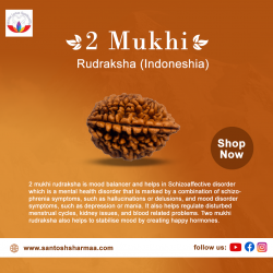 Buy certified rudraksha online | Nepal Rudraksha shop online
