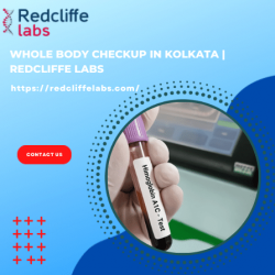 Whole body checkup in kolkata | Redcliffe Labs
