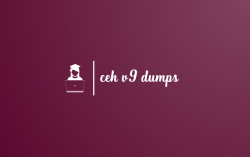 CEH V9 Dumps sufficient time to exercise.