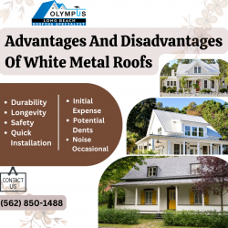 Advantages And Disadvantages Of White Metal Roofs