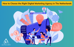 How to Choose the Right Digital Marketing Agency in the Netherlands – Alpha BPO