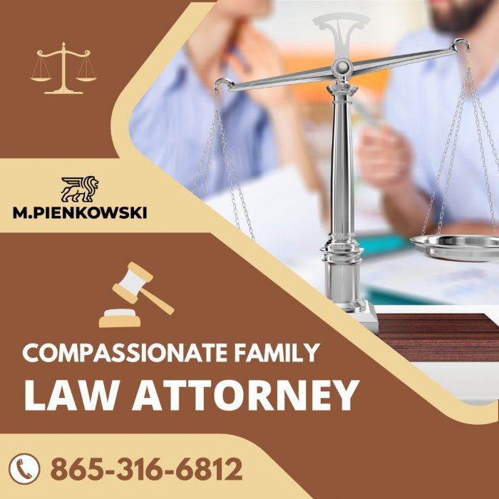 Attorneys for Family Law Consultations
