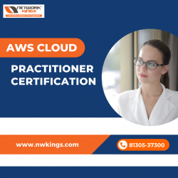 Best AWS Cloud Practitioner Certification Course – Network Kings