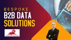Bespoke B2B Data Solutions to Make Informed Decisions