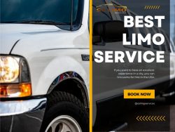 Limousine Service Dallas | Salimo services