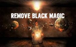 Black Magic Removal In Sydney | Pandith Gangadhar Ji