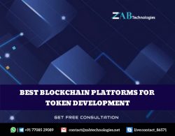 Best Blockchain platforms for a Token Development