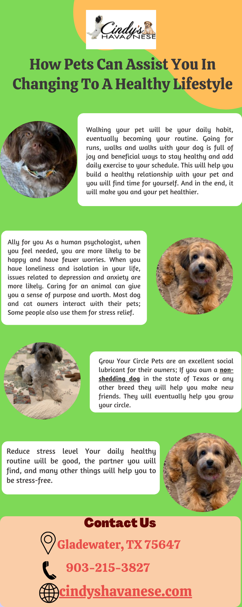 Buy Non Shedding Dogs In The state of Texas