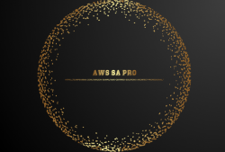 Picture Your AWS SA PRO On Top. Read This And Make It So