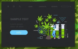 Cannabis Web Design – Growers Marketing