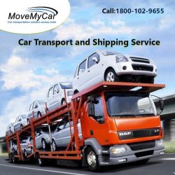 What is the average cost of car shipping services in Vadodara?