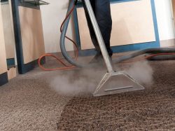 Carpet Cleaning Brisbane | Best Carpet Cleaners Brisbane
