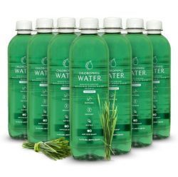 Where to Buy Chlorophyll Water?