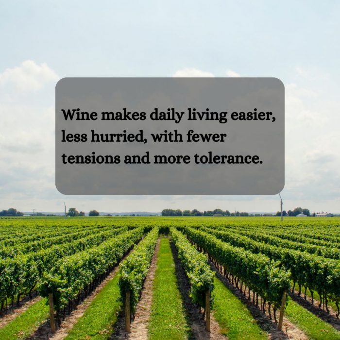 Chastity Valdes Shares Essential Wine Facts