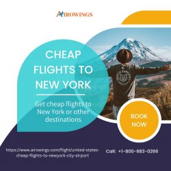 Cheap flights to New York | Call Now