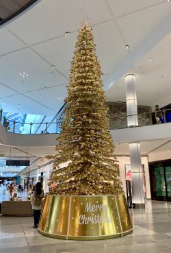 Where to Buy a Real Christmas Tree