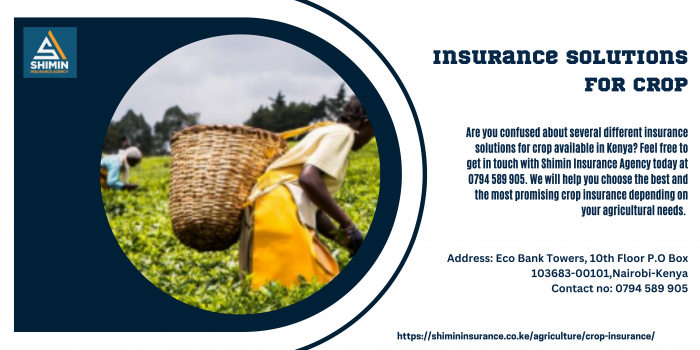 Insurance Solutions for Crop