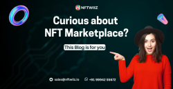 Curious about NFT marketplace? This blog is for you