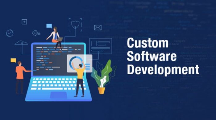 Custom Software Development Challenges and their Solutions
