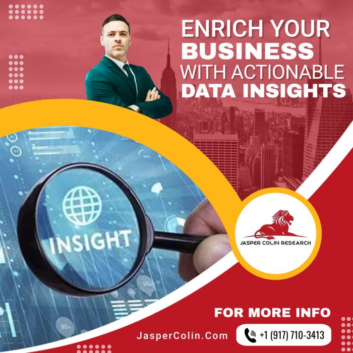 Enrich Your Business with Best Data Insights