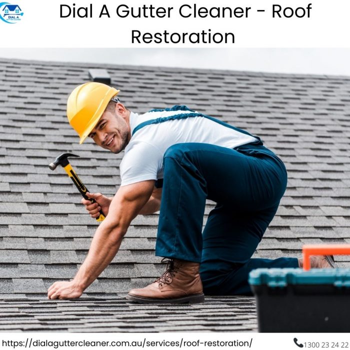 Dial A Gutter Cleaner – Roof Restoration
