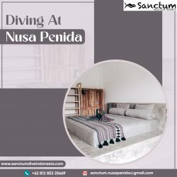 Diving At Nusa Penida