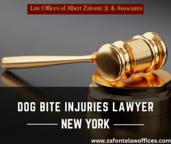 Dog Bite Injuries Lawyer In New York – Zafonte Law Offices