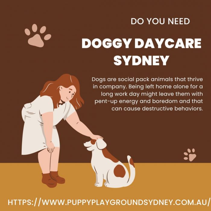 Doggy Daycare Sydney- PuppyPlayGround