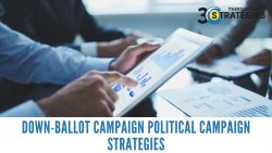 Down-Ballot Campaign Political Campaign Strategies – 3rd Coast Strategies