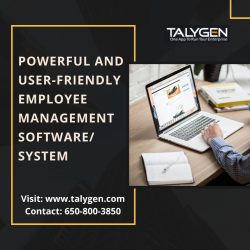 Online Employee Management System