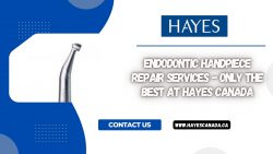 Endodontic Handpiece Repair Services – Only the Best at Hayes Canada