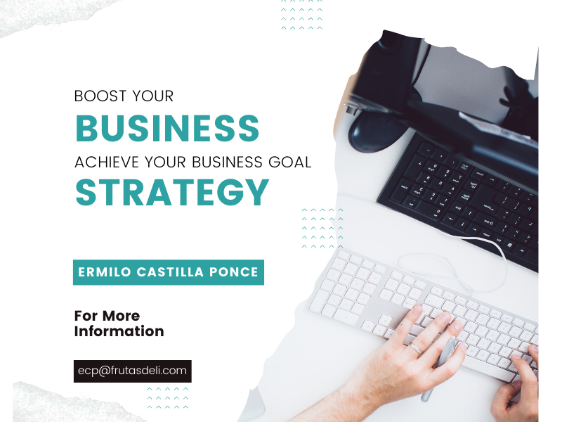 Ermilo Castilla Ponce | Professional Business Expert
