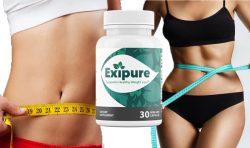Exipure Review – Weight Loss Supplement United States 2023