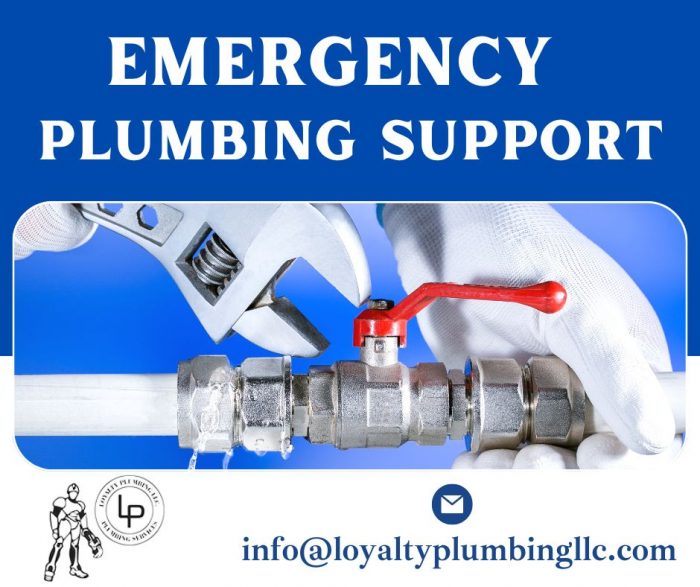Expert Plumbing Technician to your Home
