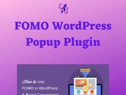 Fomo Plugins: The Top 5 Options To Improve Your Site