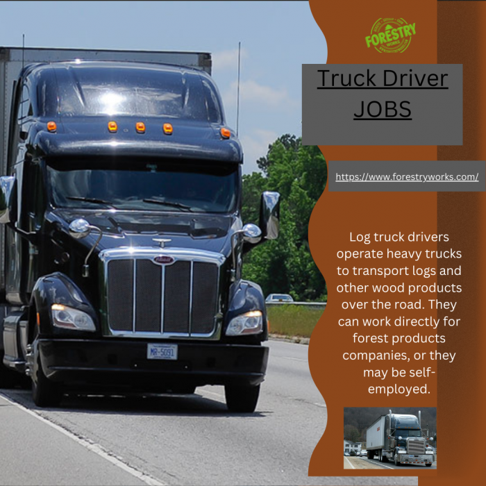 Facts Regarding Truck Driver Salary