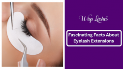 Fascinating Facts About Eyelashes Extensions – Wisp Lashes
