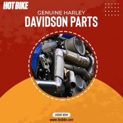 Genuine Harley Davidson Parts