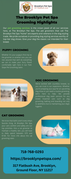 Get The Best Services At Pet Grooming Salon in Brooklyn NY