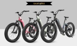 Velowave e-bike | biggest discount on Grace ebike