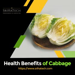 Learn The Health Benefits Of Cabbage – Srihatech
