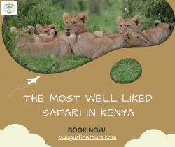 Top Kenya Wildlife Tours at Augustine Tours
