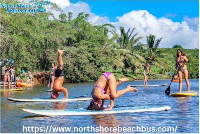 Best Paddleboarding in North Shore