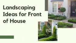Ideas for Front Yard Landscaping